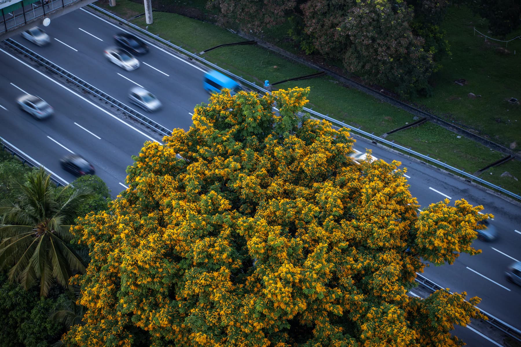 Cars travelling on a Malaysian highway seen from above
