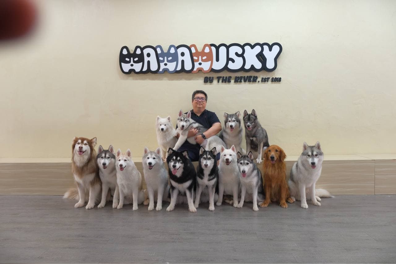 A visitor and dogs inside Hahahusky in Melaka, beneath the venue sign